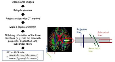 Glymphatic system dysfunction in patients with early chronic kidney disease